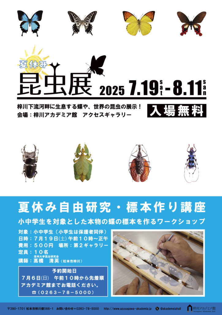 夏休み昆虫展/夏休み自由研究・標本作り講座