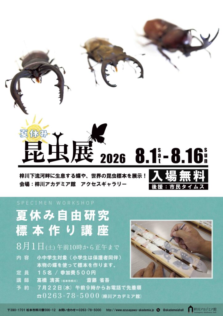 夏休み昆虫展/夏休み自由研究・標本作り講座
